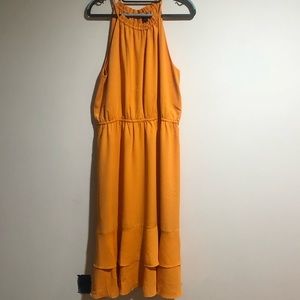 Ann Taylor womens dress size 12